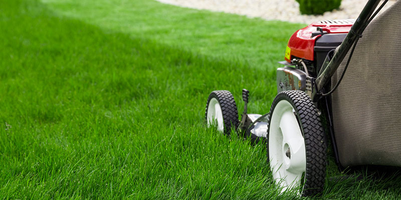 Lawn Care: How to Maintain a Healthy Lawn